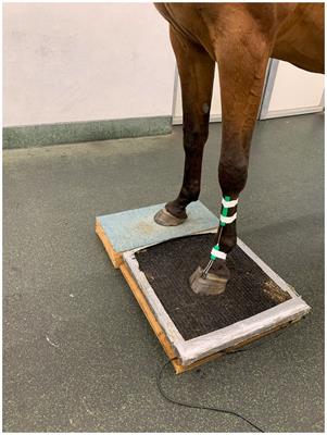 Validation of a novel clinical tool for monitoring distal limb stiffness